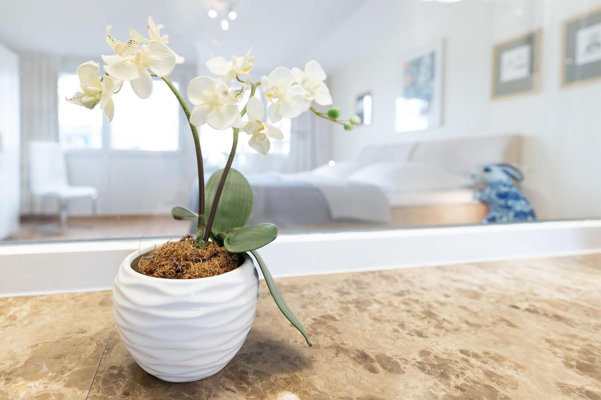 Haus Eva Mar Am Meer Appartement 1 蒂门多弗施特兰德 外观 照片